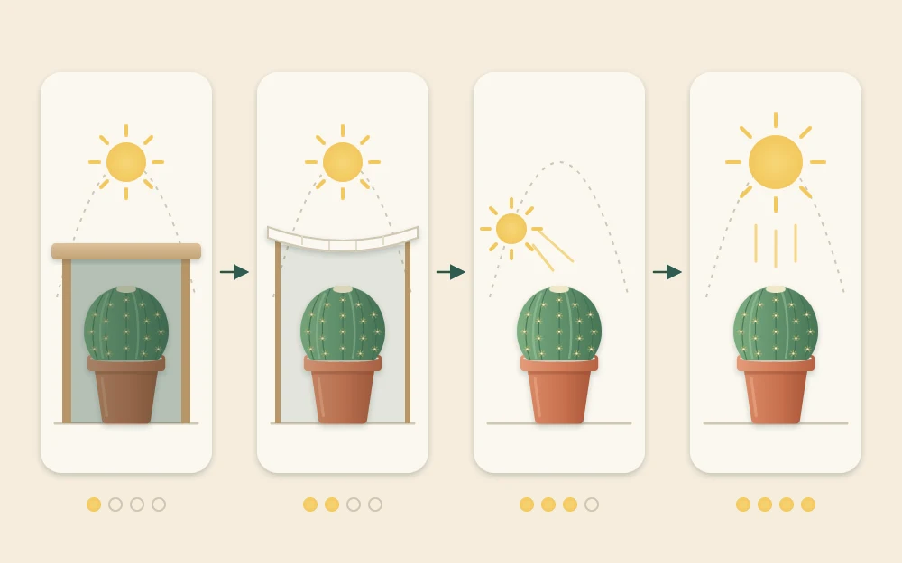 Same potted cactus in four positions joined by arrows, from deep shade under a table to bright shade, morning sun and full sun