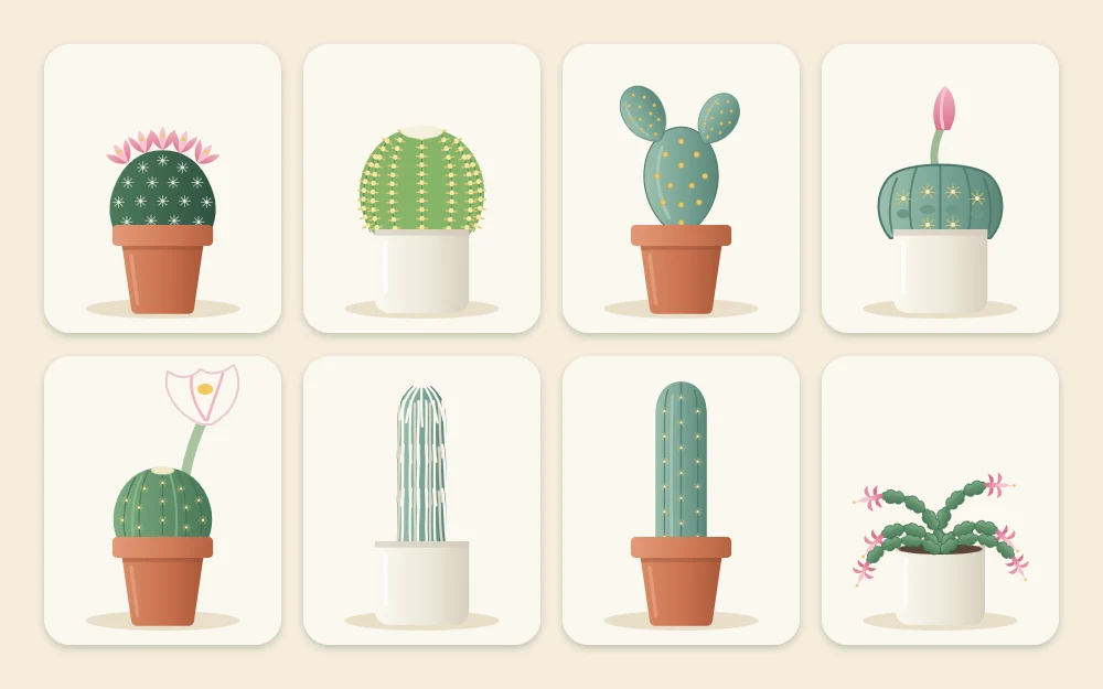 A grid of eight small potted cacti of different shapes, including a flowering pincushion, a golden ribbed globe, flat-padded bunny ears and a white-haired column
