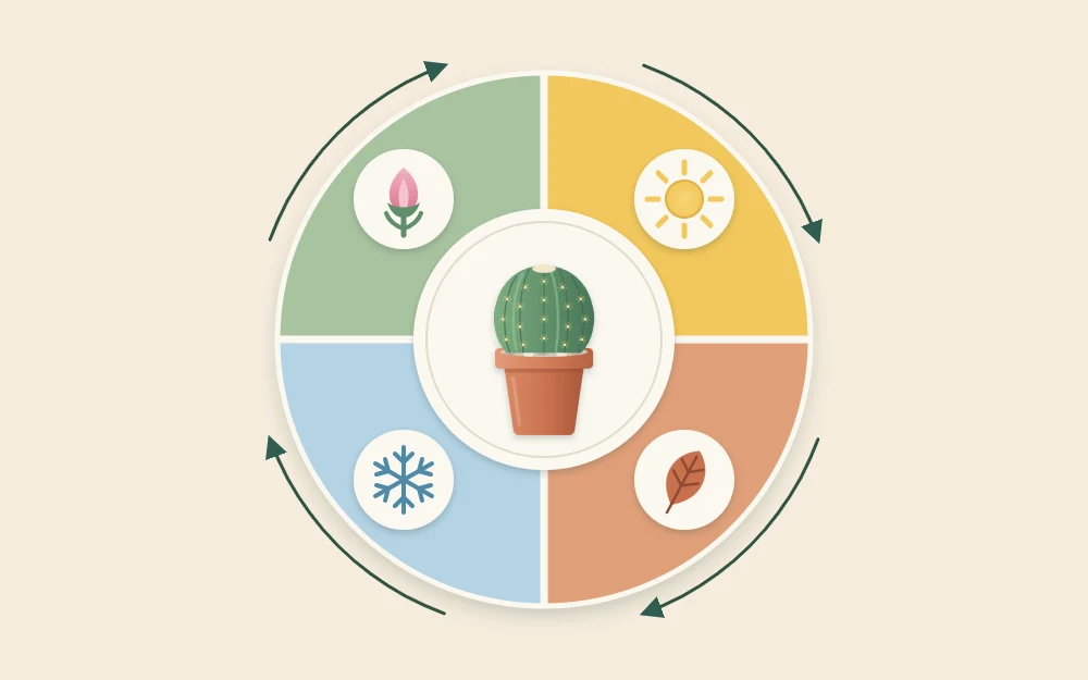 A circular year wheel in four colored quarters with sun, leaf, snowflake and bud icons around a potted cactus