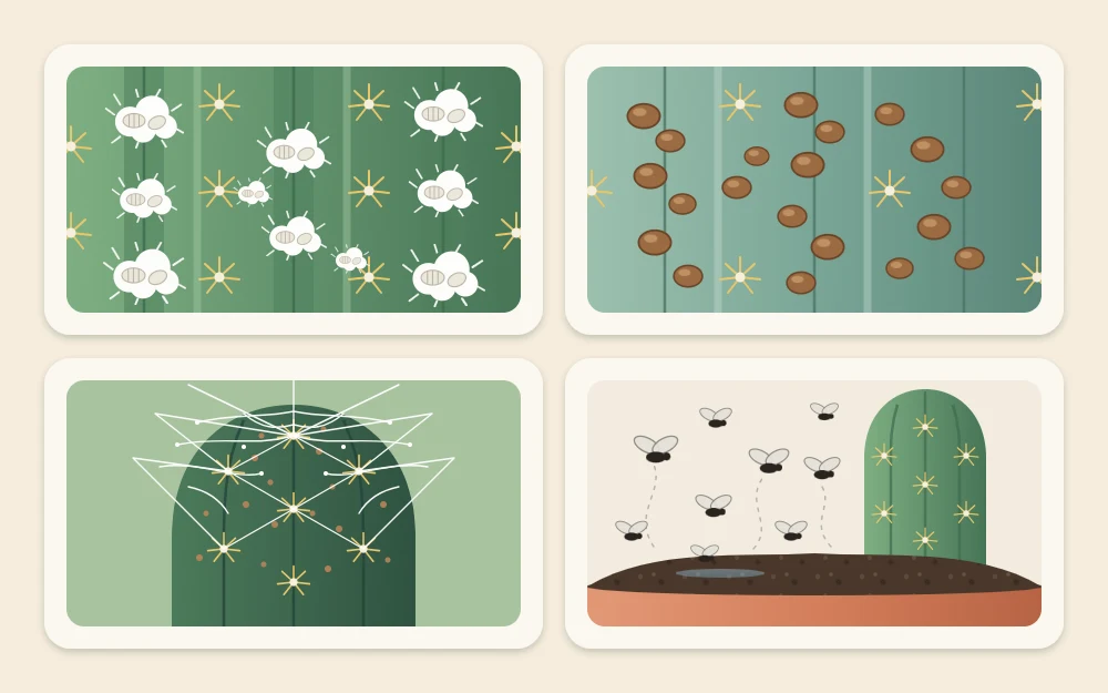 Four tiles showing white cottony tufts between ribs, small brown bumps on a cactus, fine webbing near a tip and tiny dark flies above soil