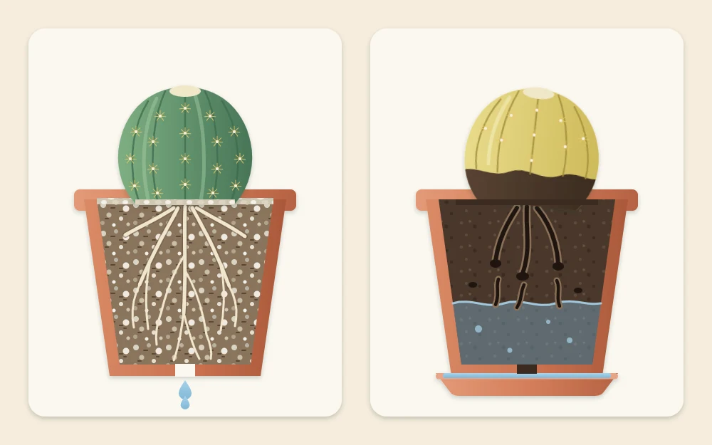 Cutaway of two pots, one with healthy pale roots in airy gritty mix and one with dark collapsing roots in waterlogged dense soil