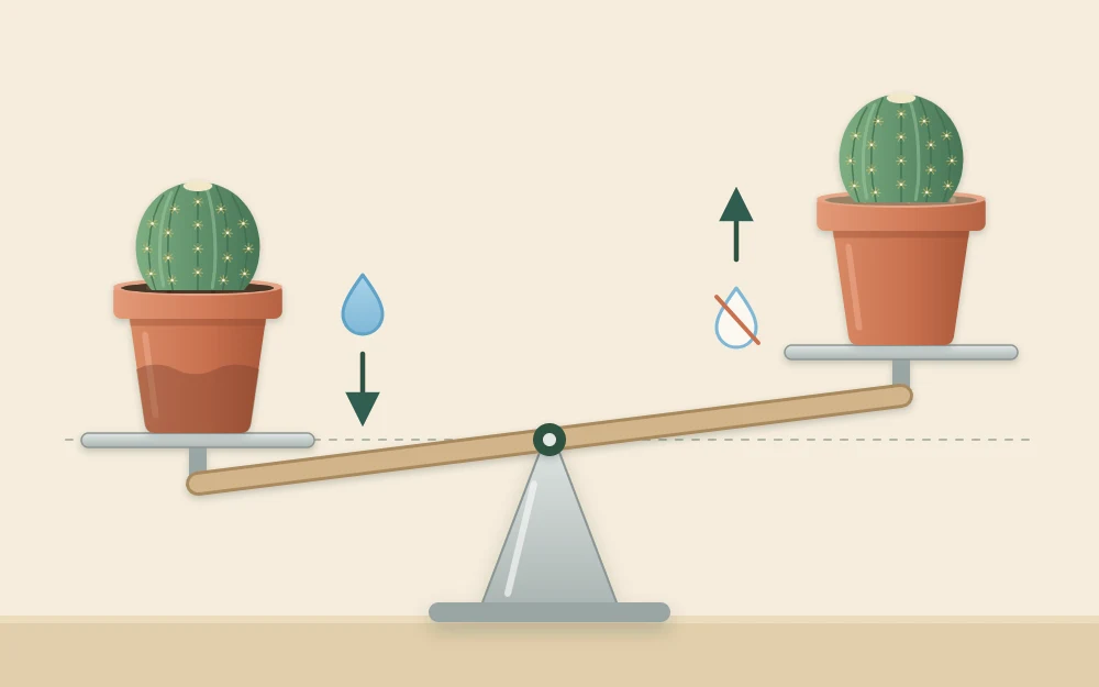 Two identical potted cacti on a balance scale, the pot with dark wet soil sitting lower than the pot with pale dry soil