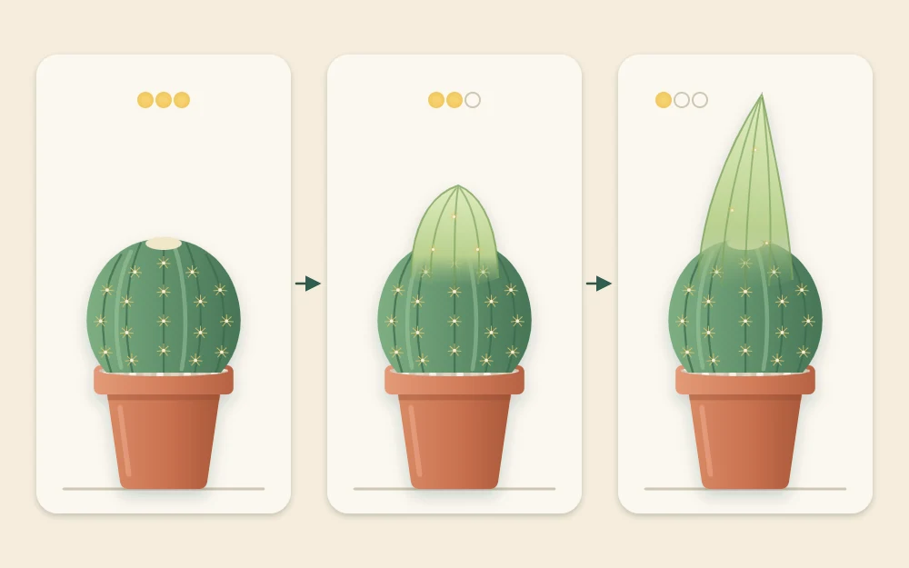Three stages of one globe cactus: round and compact, forming a narrower pale top, and fully pear-shaped with a thin pointed top and sparse spines