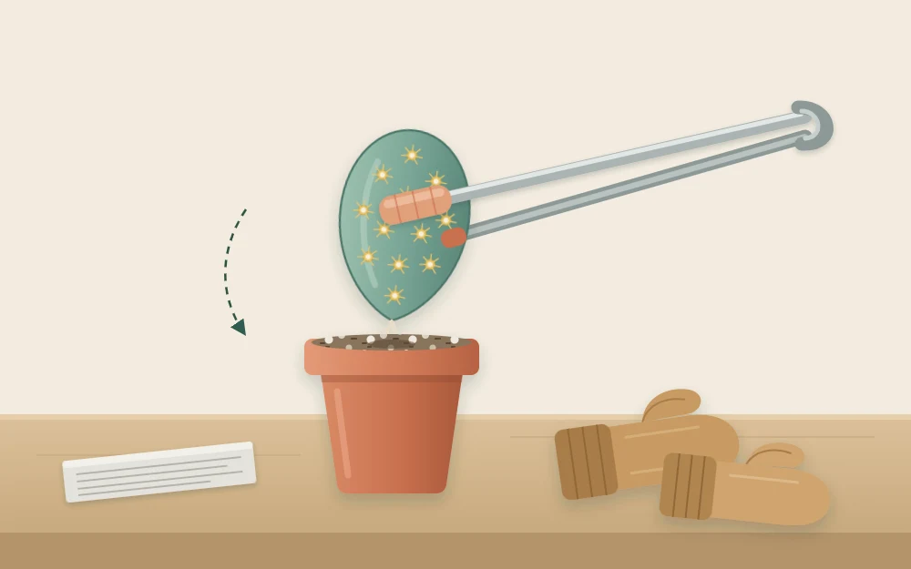 A prickly pear pad held by long tongs with padded tips above a pot, thick gloves lying on the table