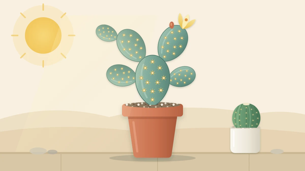 A prickly pear cactus with stacked flat oval green pads, spine clusters and one yellow flower in a heavy terracotta pot in sun