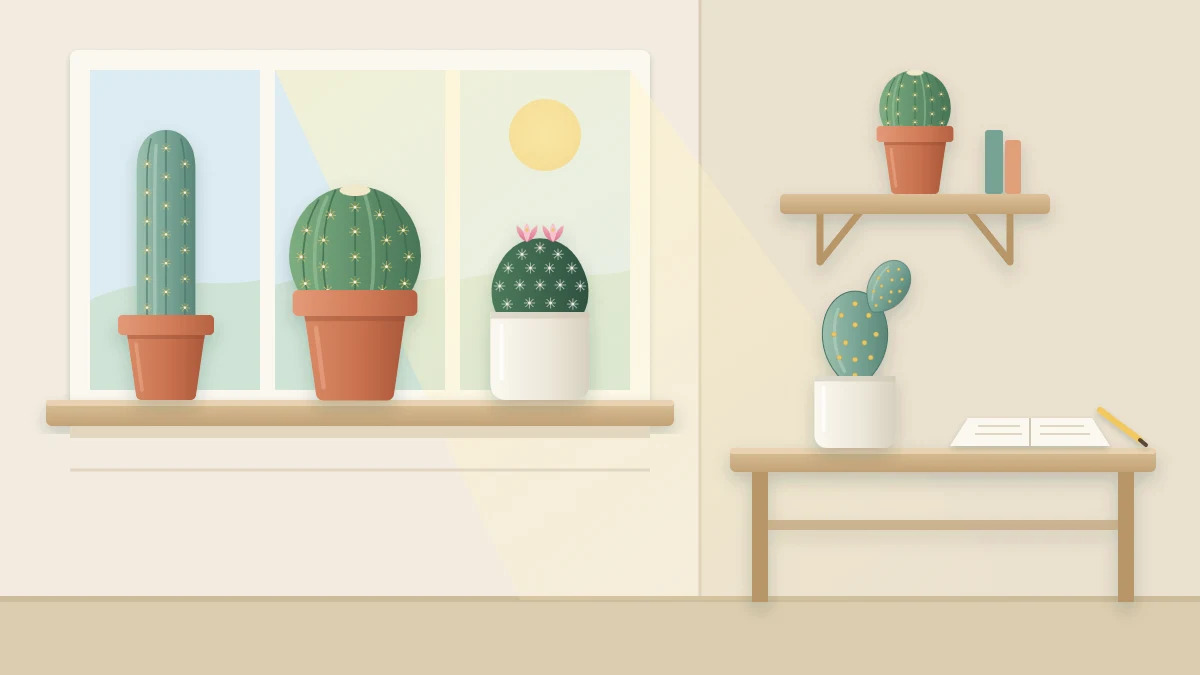 A cozy room corner with a wide sunny windowsill holding several potted cacti, a shelf further back with one small cactus, and a desk with a small pot